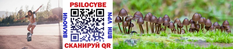 Псилоцибиновые грибы Magic Shrooms  Новотроицк 